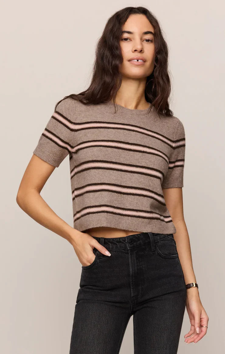 Woman wearing Z Supply Gatewood Stripe Sweater in Heather Ash with black and pink stripes