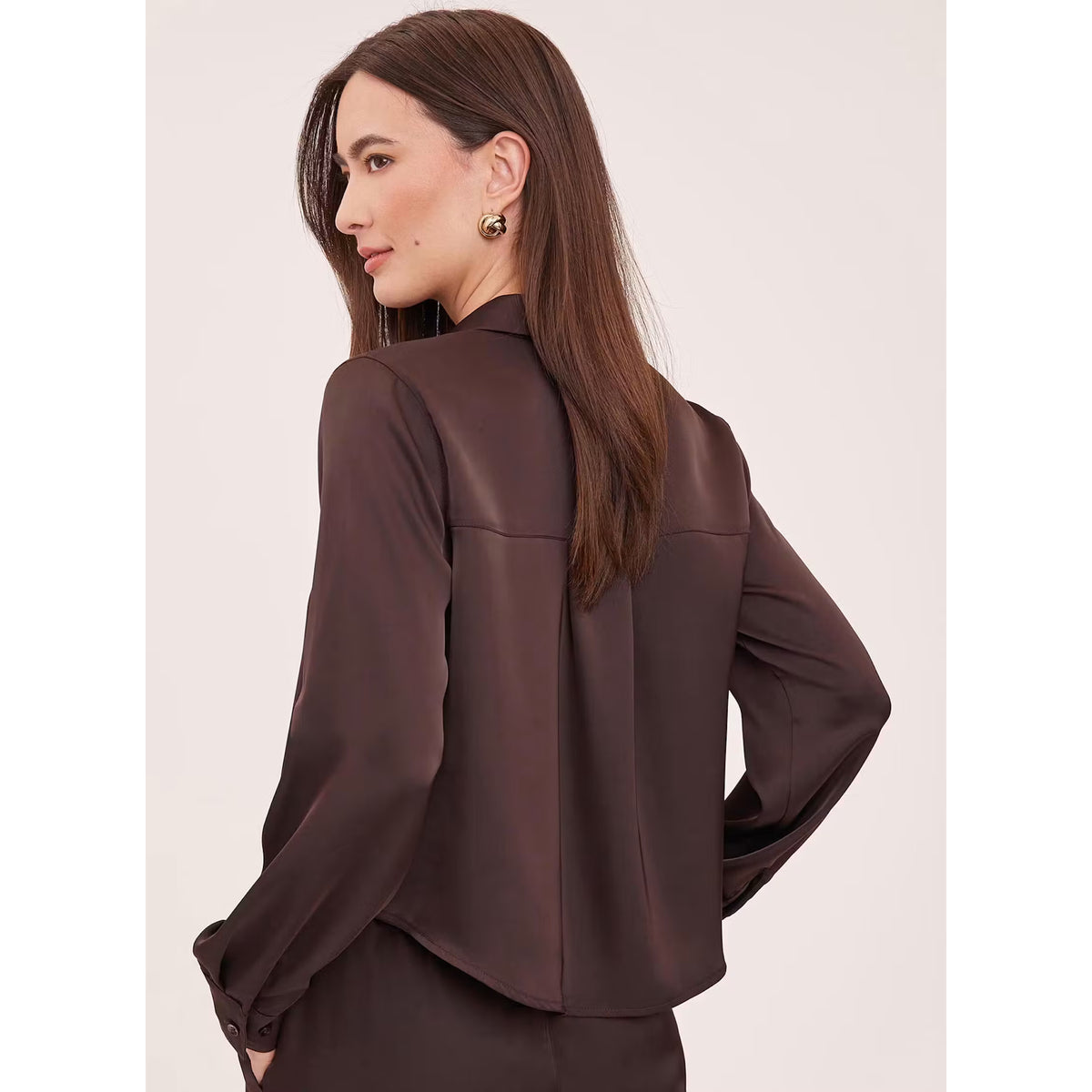 Gentle Fawn Leighton espresso brown long-sleeve satin blouse, back view