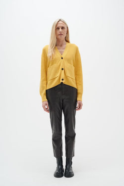 WRYLIE PANTS
